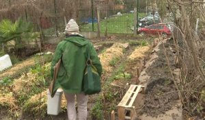 JO-2024: en Seine-Saint-Denis, des jardiniers en colère contre un projet de centre aquatique