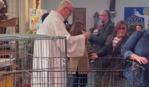 La bénédiction des animaux à Roncq