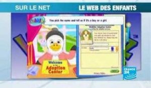 Sur le Net-Crise Belge