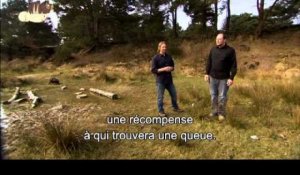 Winnie l'Ourson - Featurette La Forêt des Rêves Bleus