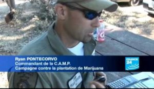 FRANCE 24 Reporters - La guerre contre la marijuana en Californie