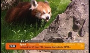 TLM - Le JT Soir du 30/05/2012