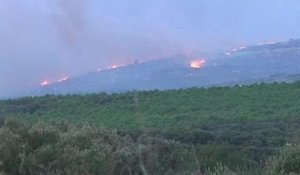 Incendie criminel de forêt à Villeveyrac