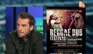 Aléas du Direct : Reggae Dub Festival 2012 - Nîmes (14/03)