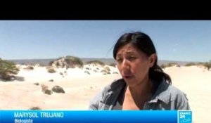 FRANCE 24 Reportages - 01/01/2013 REPORTAGES