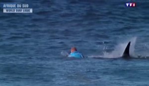 Le zapping du 20/07 : Un surfeur se fait attaquer par un requin lors d'une compétition