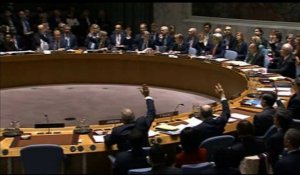 Syrie: l'ONU adopte à l'unanimité une résolution de paix (2)