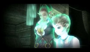 Zelda Twilight Princess : Citadelle d'Hyrule