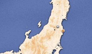 Fukushima : récit d'une catastrophe nucléaire