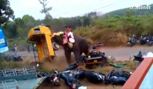 Eléphant en furie dans un village du Kérala