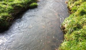 La saison de la pêche commence