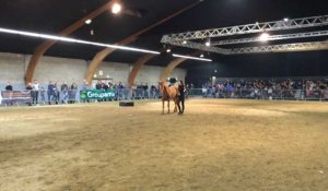 Spectacle équestre Agri Deiz