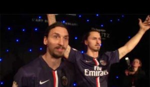 Mercato : la femme d'Ibra a fait son choix