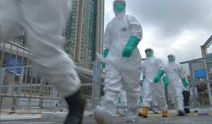 Un foyer de grippe aviaire découvert sur un marché de Hongkong
