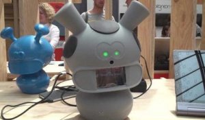 FES 2016 : Mwoo, un robot pour communiquer avec les adultes autistes