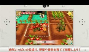 Harvest Moon : Mitsu no Sato no Taisetsu no Tomodachi - Mirai Shida Demo Play