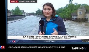 Crue à Paris : le Loing responsable de la montée de la Seine ? (Vidéo)