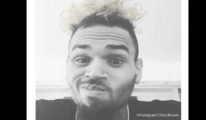 Chris Brown : Il fait rire ses followers avec sa nouvelle coiffure !