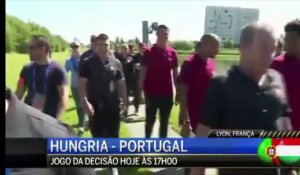 Euro 2016 : quand Cristiano Ronaldo jette à l'eau le micro d'un journaliste
