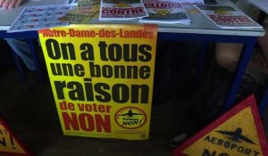 ND-des-Landes: EELV "continuera à s'opposer" si le oui l'emporte