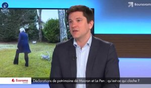 Déclarations de patrimoine de Macron et Le Pen : qu'est-ce qui cloche ?