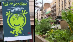 Le besoin de verdure pousse les Parisiens à jouer les jardiniers