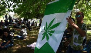 Isarêl: rassemblement d'amateurs de cannabis près du Parlement