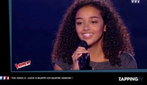 The Voice 2017 : les stars ont été subjuguées par la prestation de Lucie (vidéo)