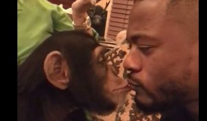 Quand Evra embrasse... un singe