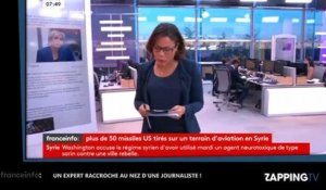Une journaliste de France Info se fait raccrocher au nez par un expert en direct (Vidéo)