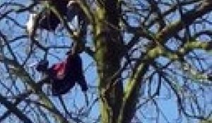 Parc de Forest: elle grimpe dans un arbre pour sauver un chat coincé depuis 3 jours