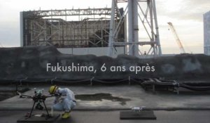 Fukushima, 6 ans après