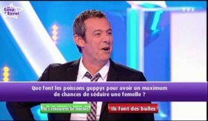 Les 12 coups de midi, TF1 : Jean-Luc Reichmann enquête sur l'identité de la compagne de Christian