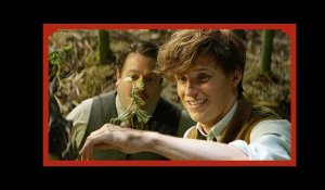 Les Animaux Fantastiques - Spot Officiel (VF) - Eddie Redmayne