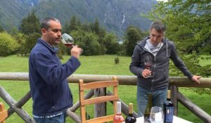 Du vin en Patagonie, conséquence du réchauffement climatique