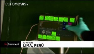 Incinération de saisies de drogue au Pérou