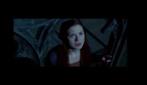 Harry Potter et les Reliques de la mort - Partie 2 (3D) Bande-annonce 2