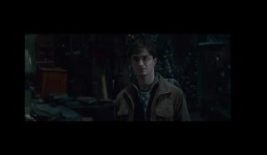 Harry Potter et les Reliques de la mort - Partie 2 (3D) Extrait 2