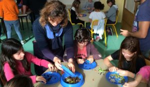 À Jules Ferry, les écoliers ont cuisiné avec des algues 