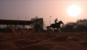 Niger: sur les traces d'un cheval légendaire