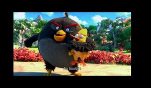 Angry Birds - Journée du bonheur