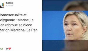 ZAP Tweets Actu : Le clash Marine / Marion Maréchal-Le Pen