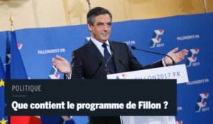 Primaire à droite : que contient le programme de François Fillon ? 