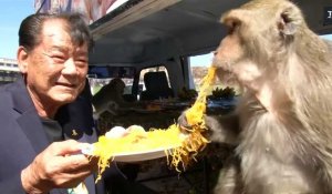 En Thaïlande, un festin pour les singes