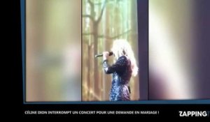 Céline Dion s'arrête en plein concert pour une demande en mariage (Video)