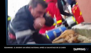 Roumanie : un pompier devient célèbre après avoir sauvé un chien grâce à un bouche-à-bouche (vidéo)