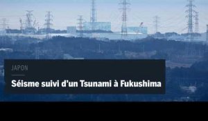 Un séisme au large de Fukushima déclenche un tsunami