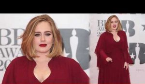 Adele annonce qu'elle compte avoir un deuxième enfant