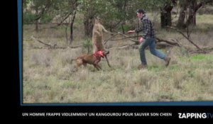 Un homme frappe violemment un kangourou pour sauver son chien, les images chocs (Vidéo)