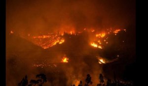 Le Chili face au pire «désastre forestier» de son histoire